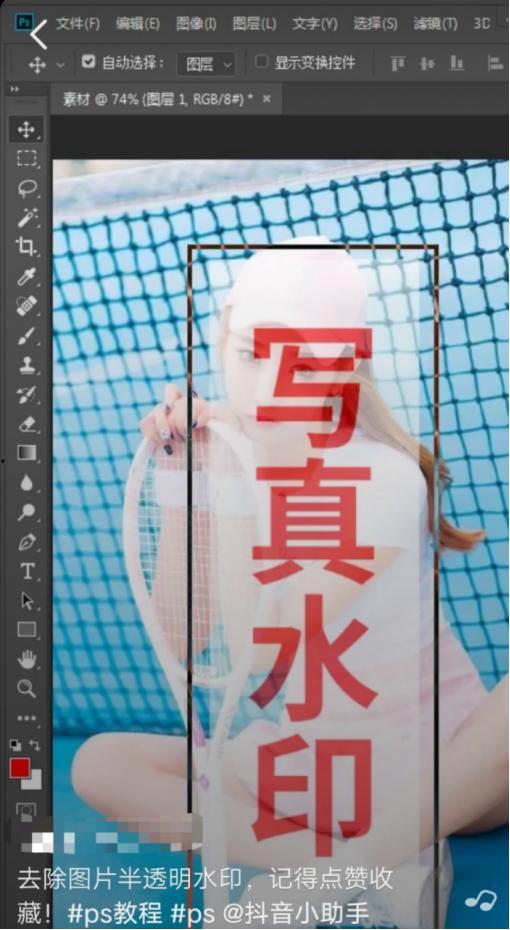 成都抖音爆料视频,揭秘网红打卡地背后的秘密